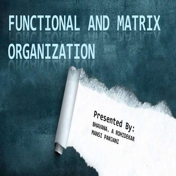 functional and matrix organization