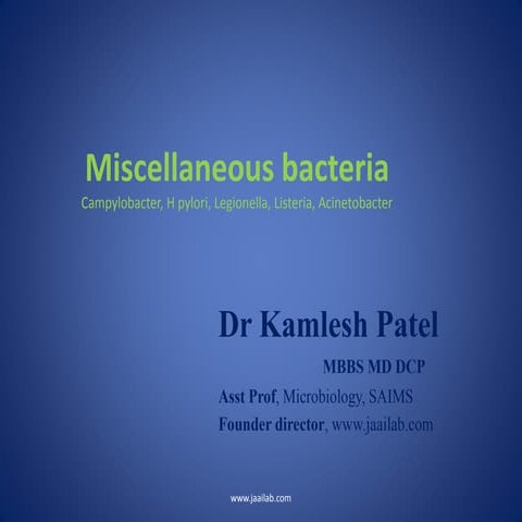 Miscellaneous bacteria campylo h pylori acineto legionella listeria