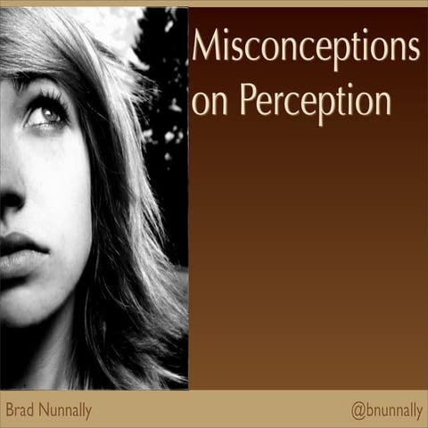 Misconceptions on Perception