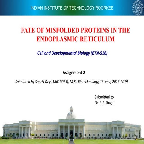 Misfolded proteins