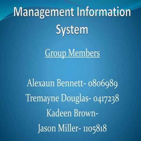 Management Information systems Coursework