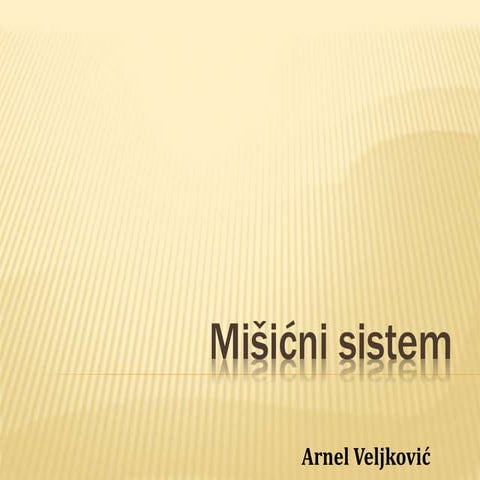 Mišićni sistem