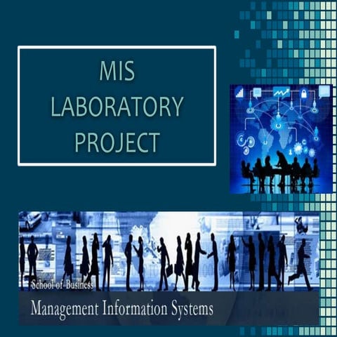 Management Information System(LAB PROJECT)