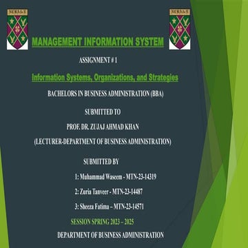 MIS Presentation MIS Presentation MIS Presentation