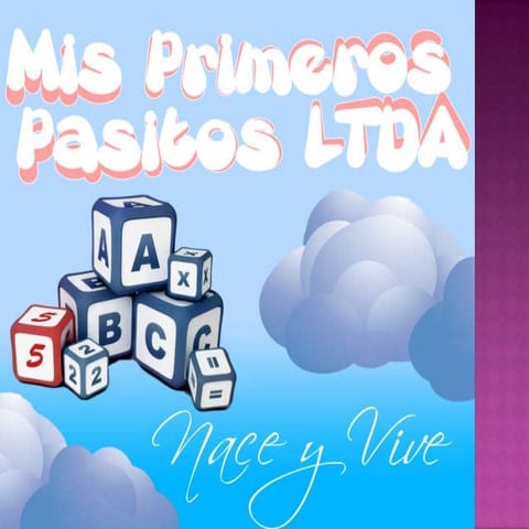 Mis primeros pasitos ltda