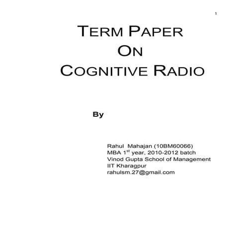 Mis term paper updated