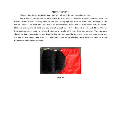 Mist netting, #bats, wildlife Biology 