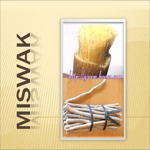 muswaq | PPTX