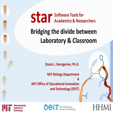 MIT STAR | PPTX