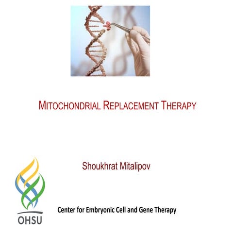 Shoukrhat Mitalipov, "Mitochondrial Replacement Therapy"