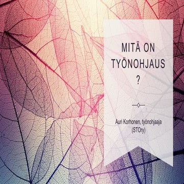 Mitä työnohjaus on_vpk.pptx