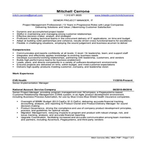Mitch cerrone resume