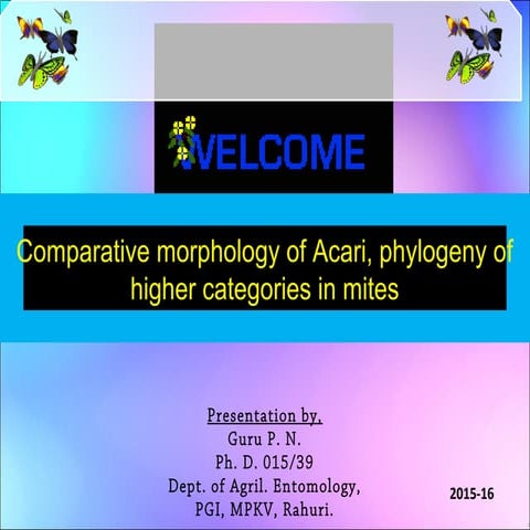 Comparative morphology of Acari, phylogeny of higher categories in mites
