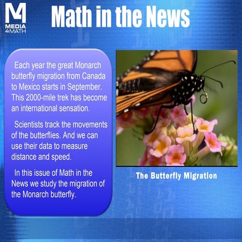 Insect Migration and displacement .pptx