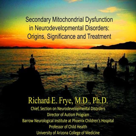  Primary Mitochondrial Disease and Secondary Mitochondrial Dysfunction