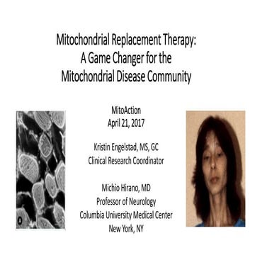 Mitochondrial Replacement Therapy