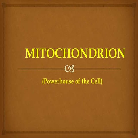Mitochondria