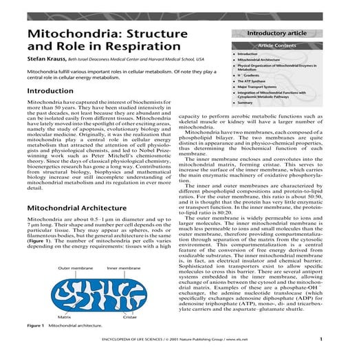 Mitochondria | PDF