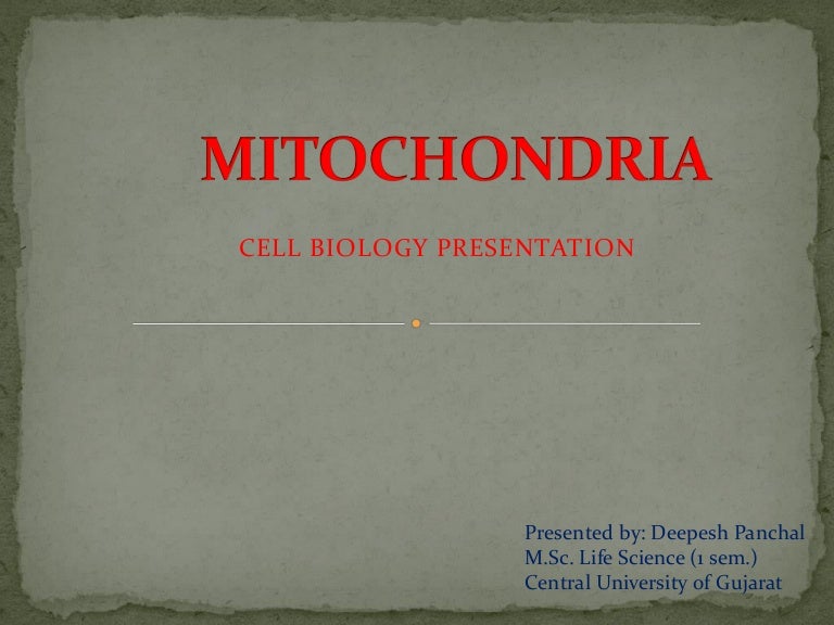 mitochondria mitochondria, Presentation templates