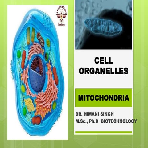 MITOCHONDRIA- THE POWER HOUSE OF THE CELL