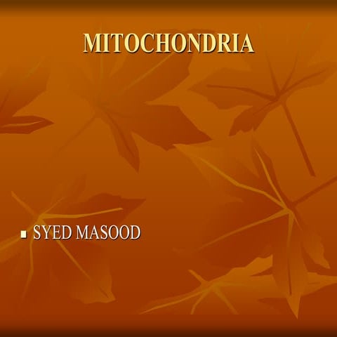 MITOCHONDRIA.ppt