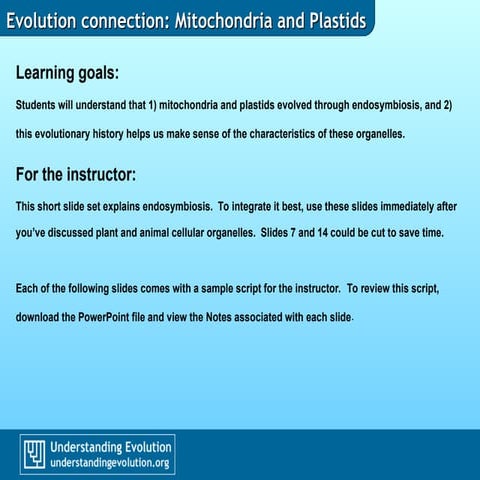 Mitochondria.ppt and choloroplast origin