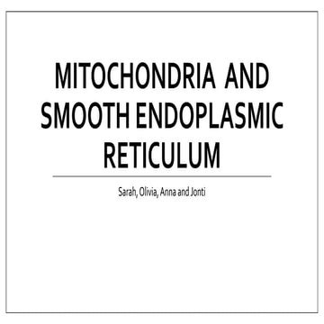 Mitochondria and Smooth Endoplasmic Reticulum- Basics of their Function and S...