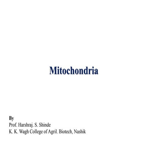 Mitochondria1