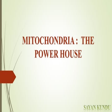 MITOCHONDRIA .pdf