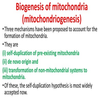 mitochondria biogenesis and functions.pptx