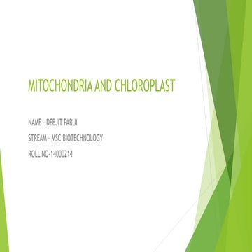 Mitochondrial and chloroplast DNA | DOCX