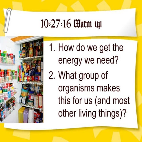 Mitochondria lesson the basics of glucose to ATP production