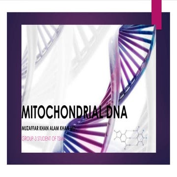 Mitochondrial dna