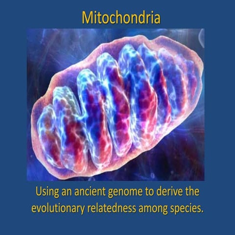 Mitochondrial genetics and management