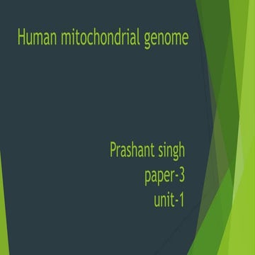 Mitochondrial genome