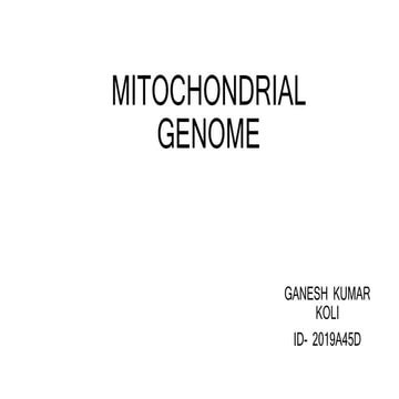 Mitochondrial genome