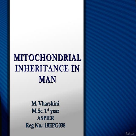 Mitochondrial Inheritance in Man