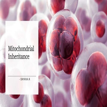 Mitochondrial Inheritance slideshare