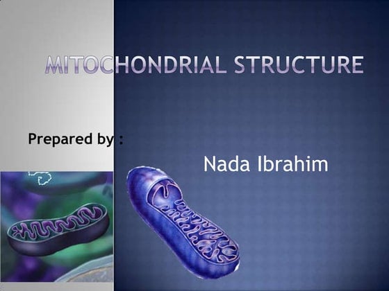 Mitochondrial Structure And Function Ppt