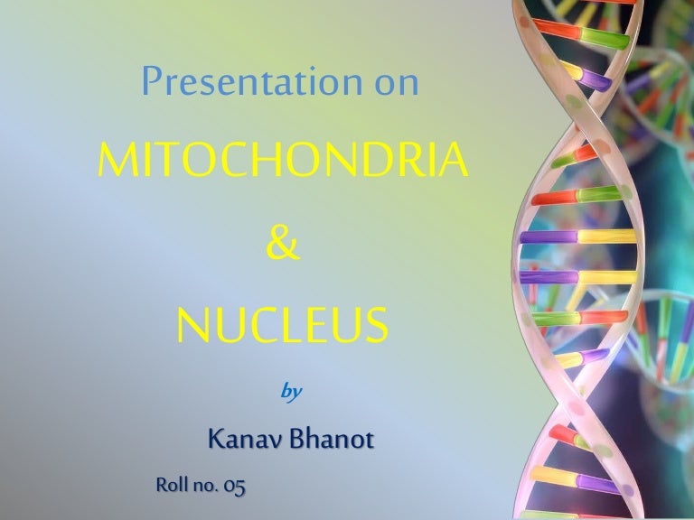 mitochondria & nucleus mitochondria & nucleus, Presentation templates