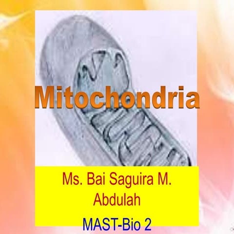 Mitochondria