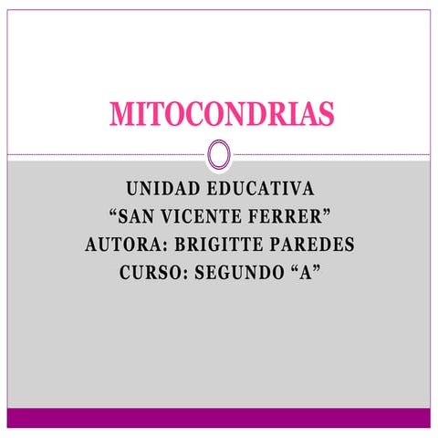 Mitocondrias Paredes 2_A