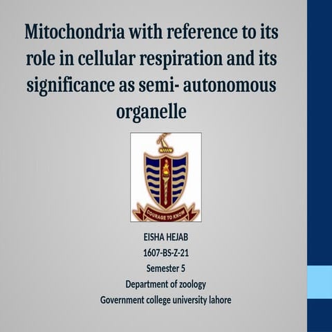 Presentation on the mitosis in cell cycle