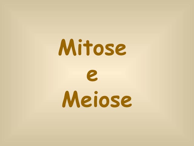 Mitose Meiose