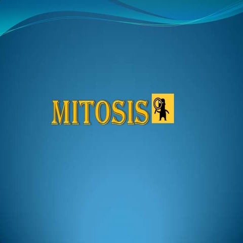 Mitosis