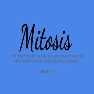 Mitosis Explained 
