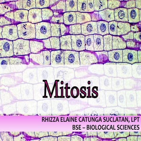 Mitosis