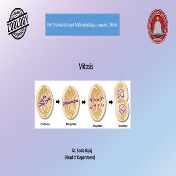 Mitosis division