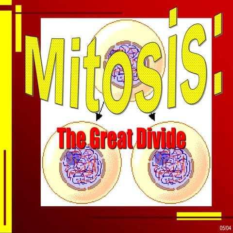 Mitosis.ppt