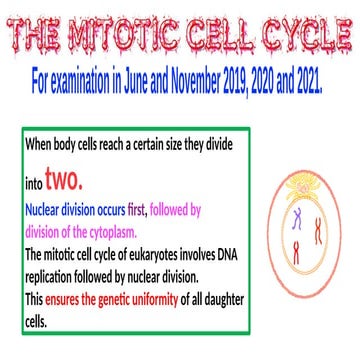 Mitosis cell cycle biology IGCSE 0610  revision